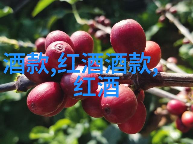 红酒的设拉子似在问答题库网站登录中低语仿佛有着答案