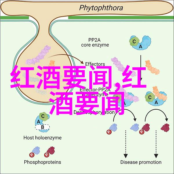 仙舞魅凰-翩跹天籁仙舞魅凰的神秘旋律