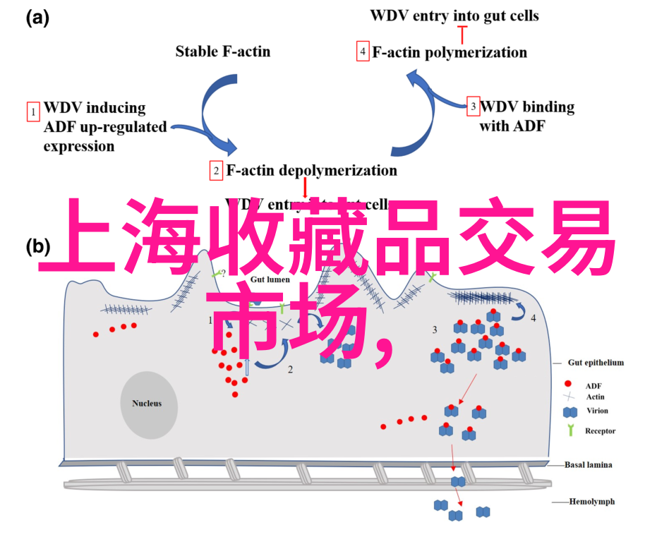 百度之谜如何巧妙提问不被AI误解的艺术