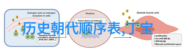 我们应该如何去理解并欣赏一瓶高价的人类香槟