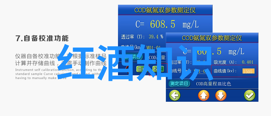 红色的约定记住那次我们一起举杯的手牵手画面