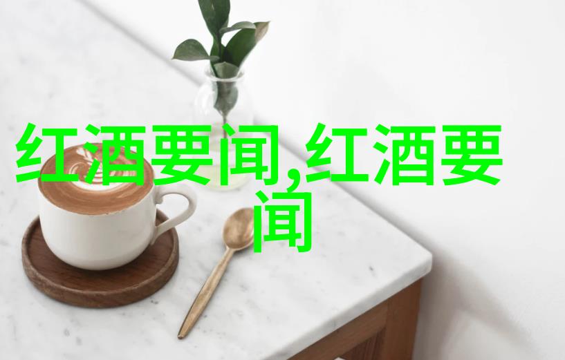 葡萄酒的生产商产区和年份-品鉴时光揭秘佳酿的源头与岁月