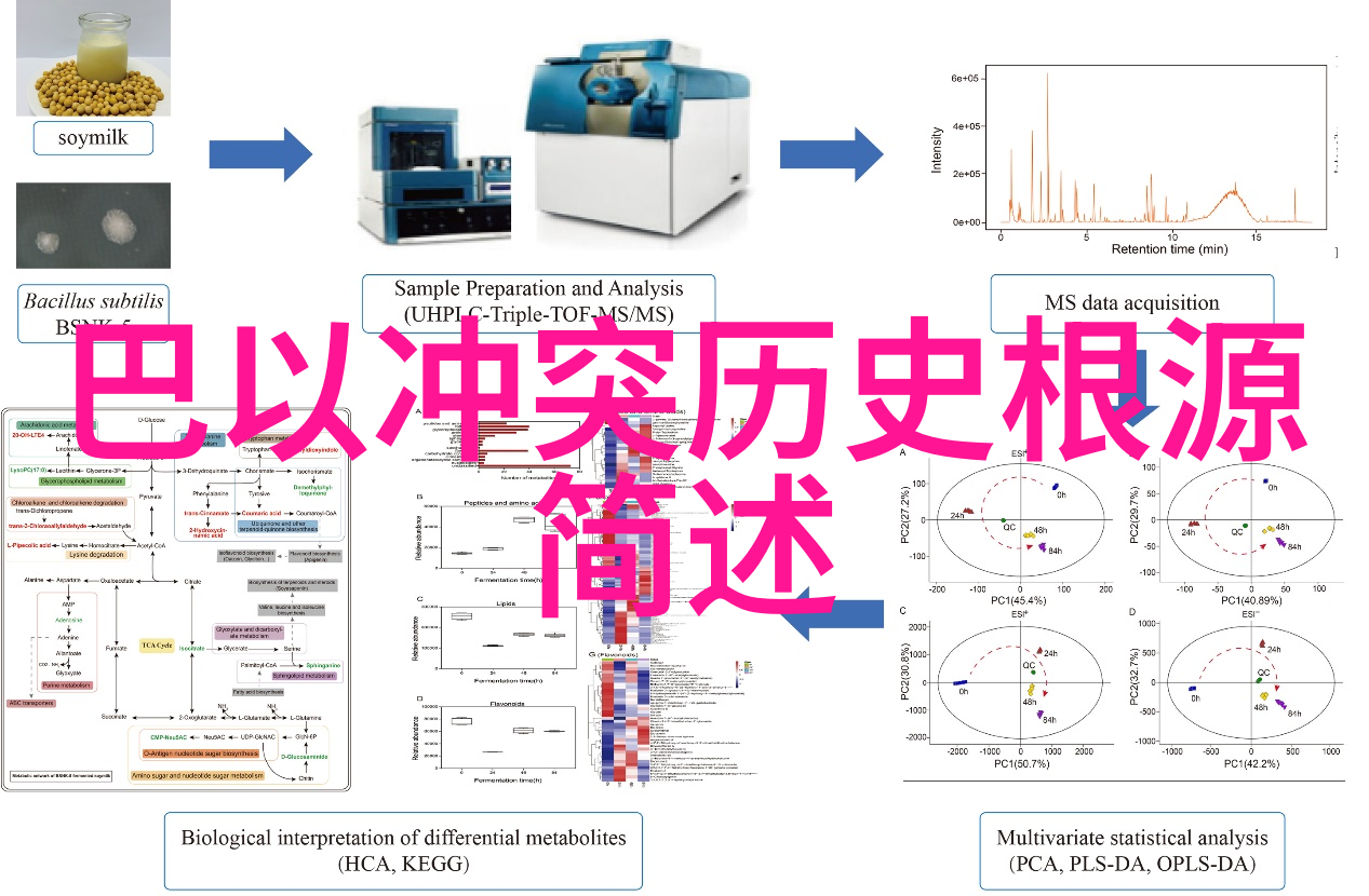 揭秘历史珍品收藏如何打开时光之门