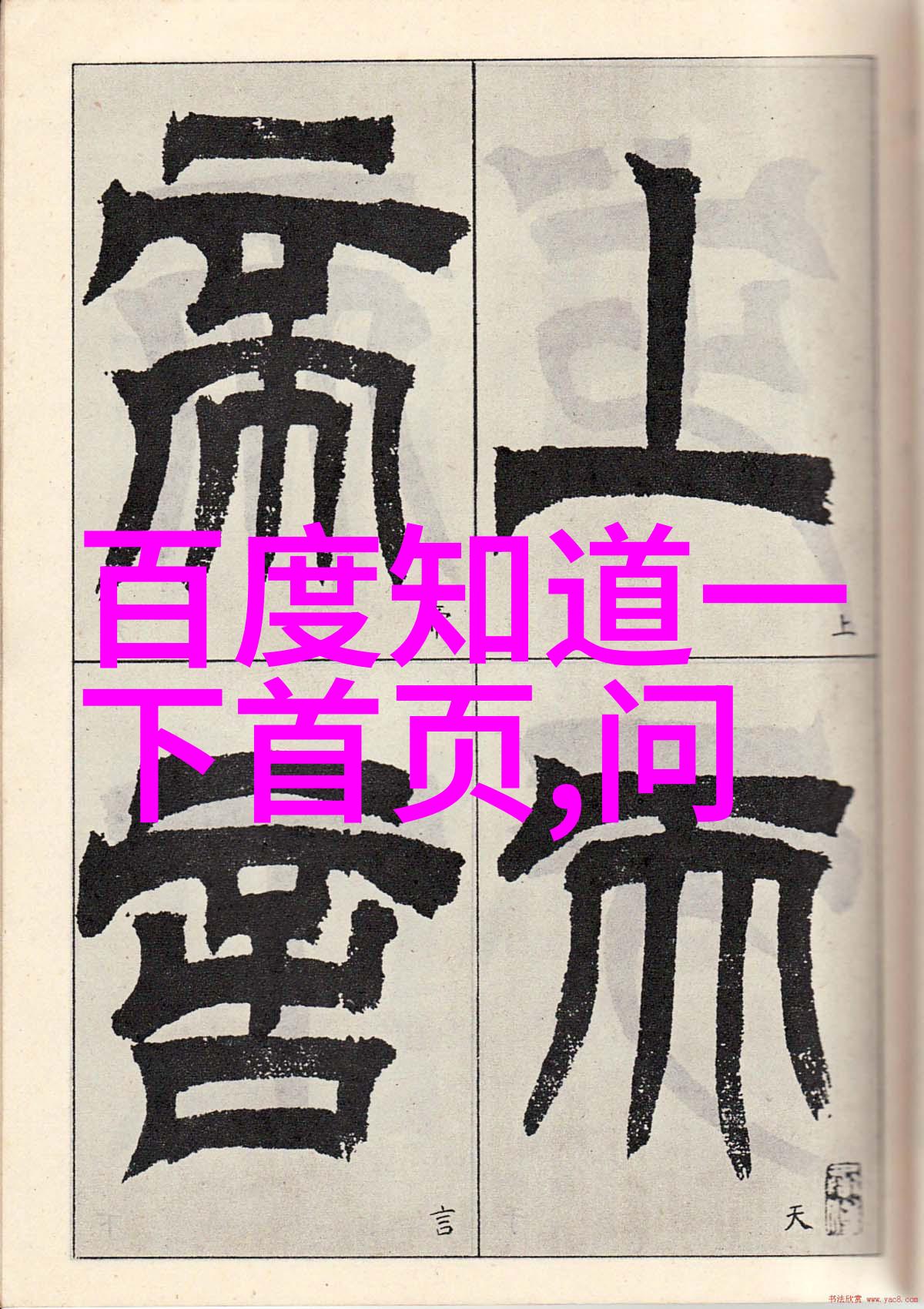 宫墙外的百合花中国女子闯入海湖庄园