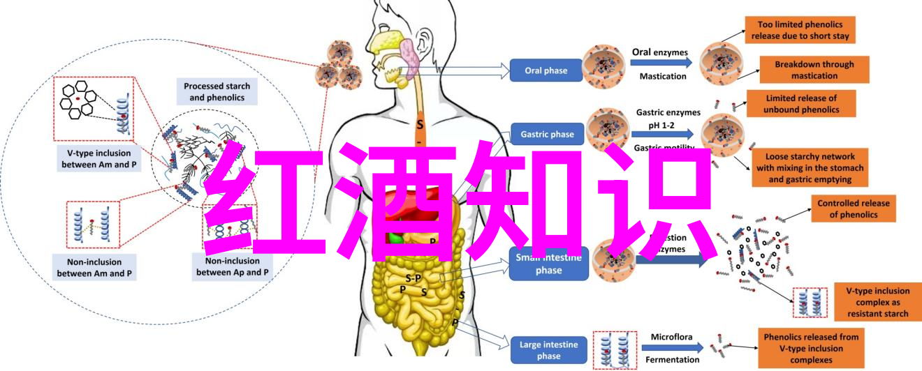 雷盛LEESON红酒分析在社会场合共享情感与艺术的葡萄酒基础知识大全