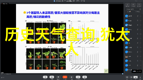 探秘花园中的绚烂王者玫瑰花品种大全图解