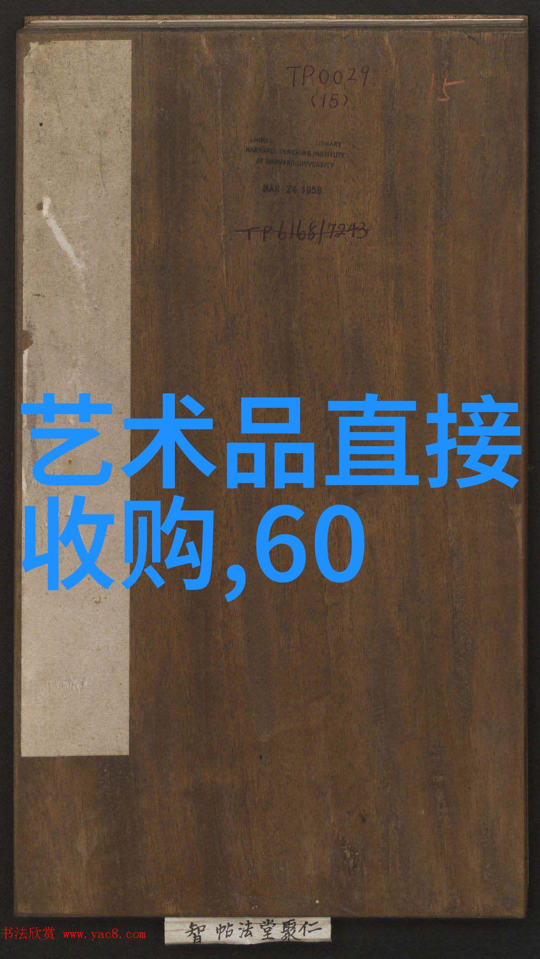 以科学为基准以爱心为指南100只多变且迷人的宠物小精灵