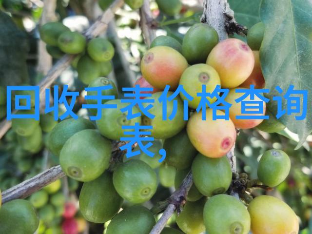 金银花露水笔趣阁探索可乐2的文学魅力