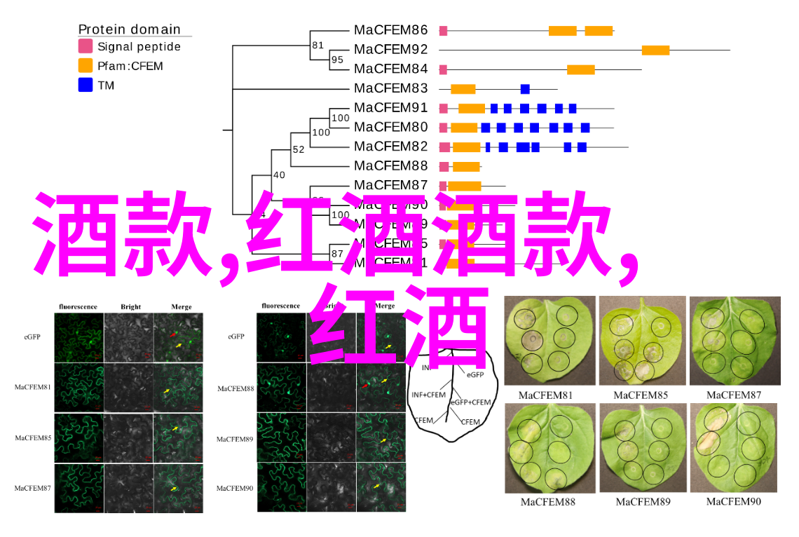 探究可爱之美人格特质与图像设计在人物形象中的应用研究