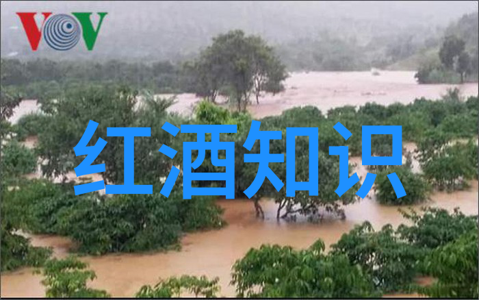 童年绘梦7岁与12岁的艺术足迹