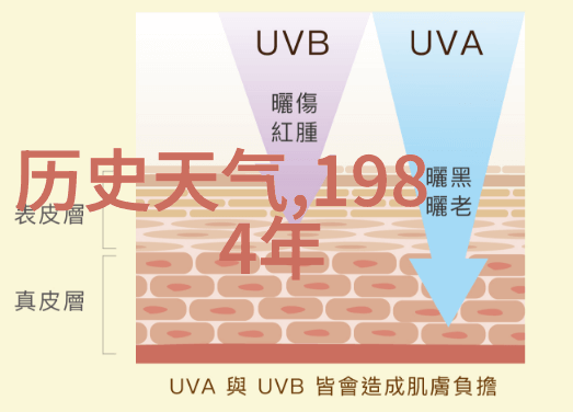 乌镇旅游自由行探索一项基于实地考察的旅行策略研究