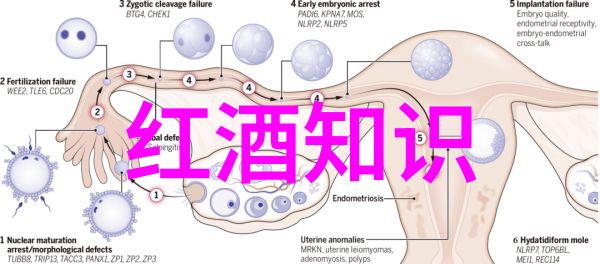 画中藏宝图油画收藏家的笑料与智慧