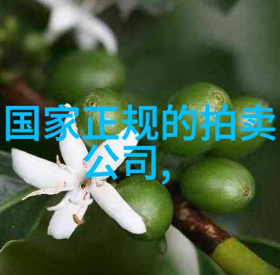 三年的坚持每月定投300元的长期财富增长策略