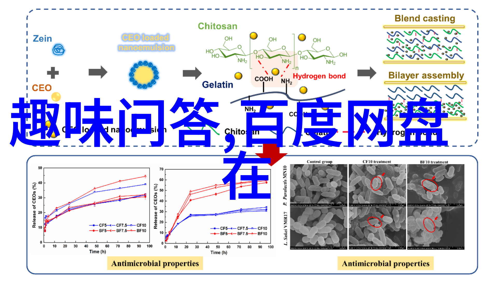 自驾探秘周边游旅行网带你走近自然