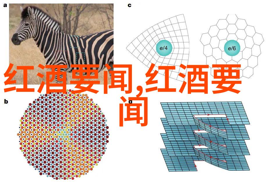 在上海周围探索艺术与文化哪些展览和博物馆不容错过