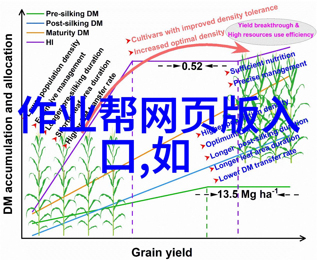 文化常识答题游戏-智慧宝库探索文化常识的乐趣