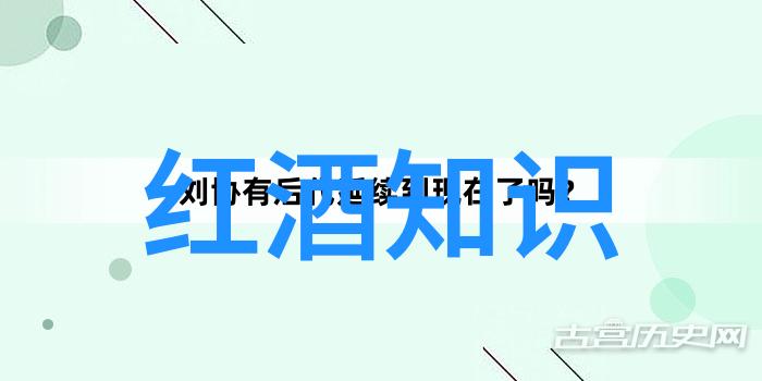 现代英雄人物守护未来之星的无声先锋