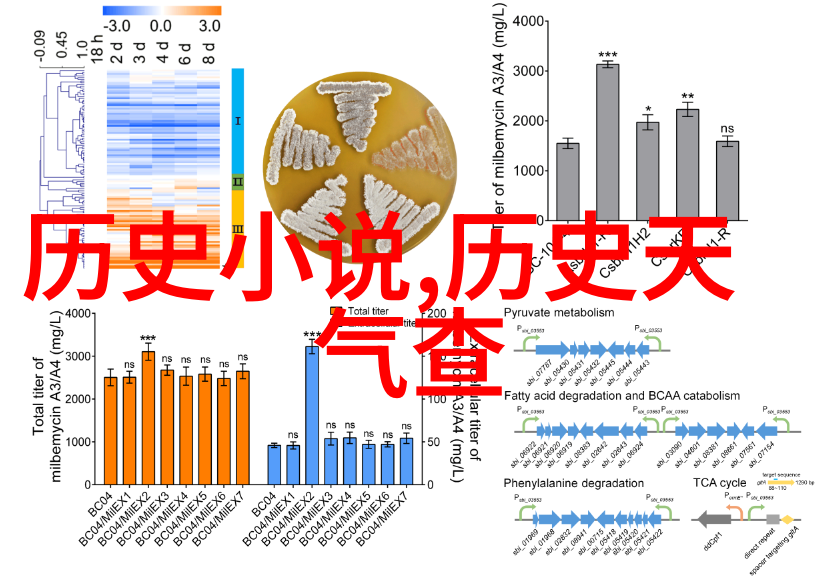 探秘梦幻庄园揭秘奇遇与魔法的乐土