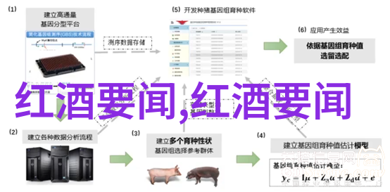 巴以冲突历史根源简述 - 从土地到身份探索中东两国的长期纠纷