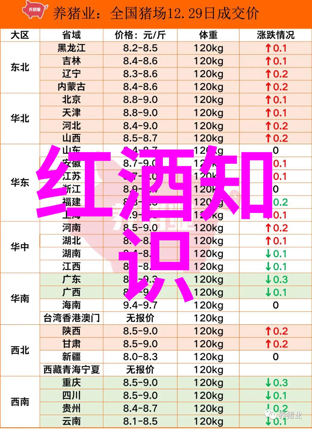 醉心于红酒文化品味之旅与风尚探索