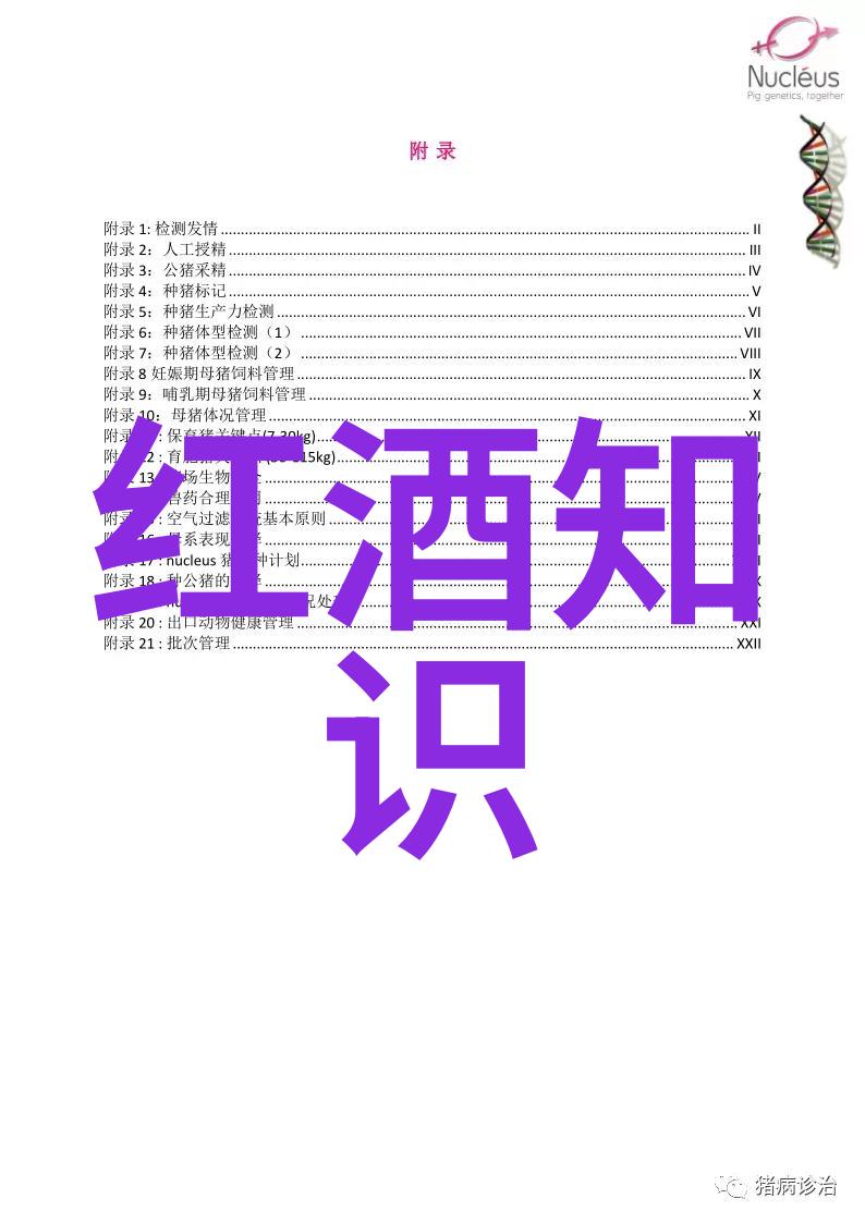 探秘玫瑰花园品种名字大全与精选介绍