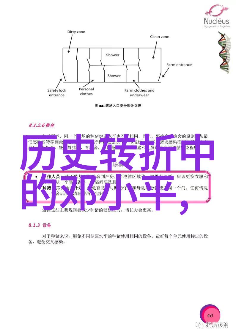 巴勒斯坦历史渊源深刻巴勒斯坦民族的悠久历史与文化