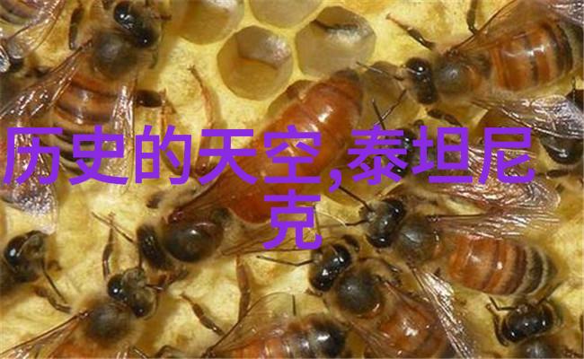 加州葡萄酒商颂扬2022年丰收佳绩全国钱币收藏博览会展现古今钱物的异彩纷呈