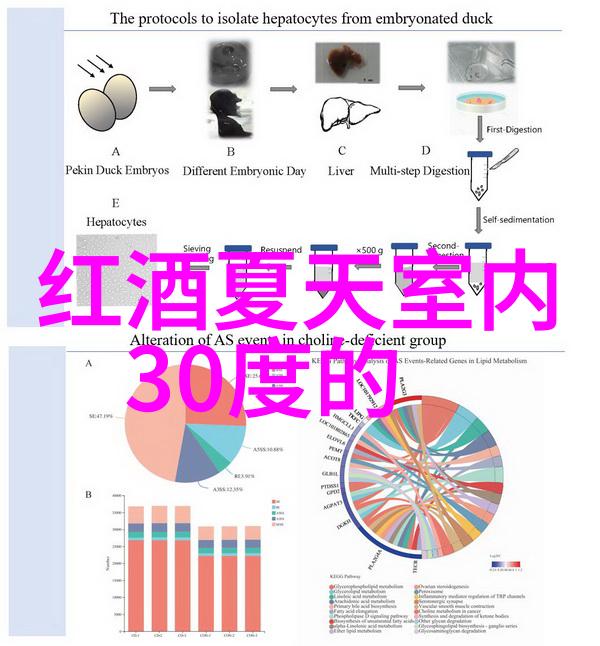 品味法国探索那些闻名遐迩的葡萄酒