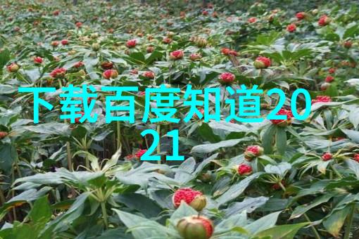 花园种植指南从零到英雄让每个人都能成为一名园艺爱好者