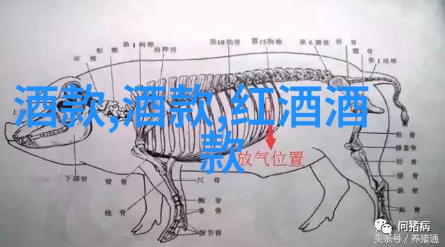 探索法国葡萄酒产区的魅力从波尔多到布利