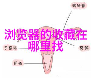 上海周边有啥好玩的-探索一日上海周边10大精彩旅行目的地