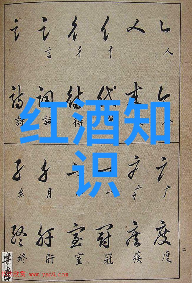 收藏界杂志 翻页奇遇从古董到新奇咖啡桌上的时间旅行者