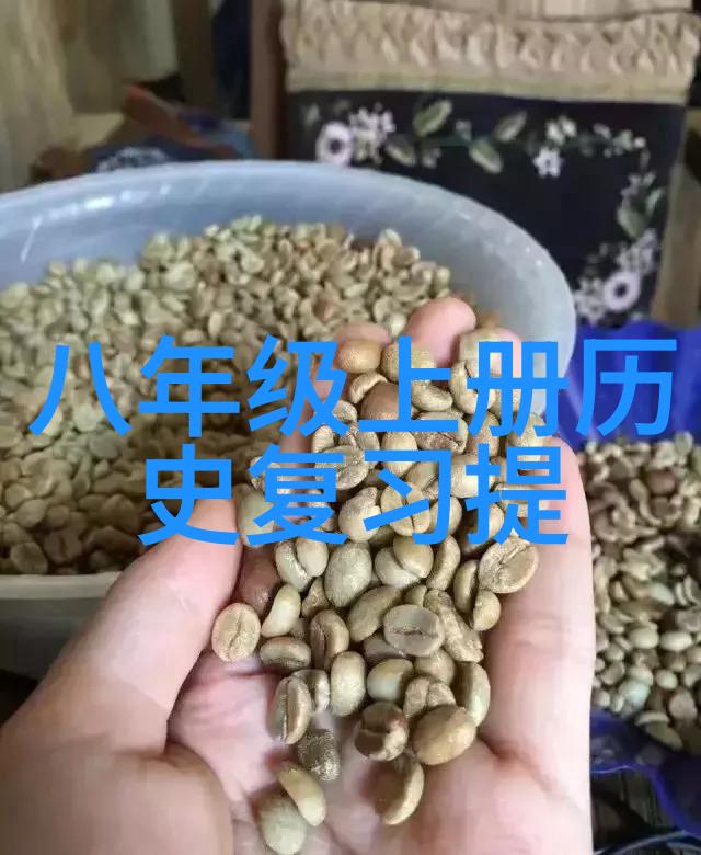 全球最受欢迎的玫瑰花种品质与美丽并存的冠军