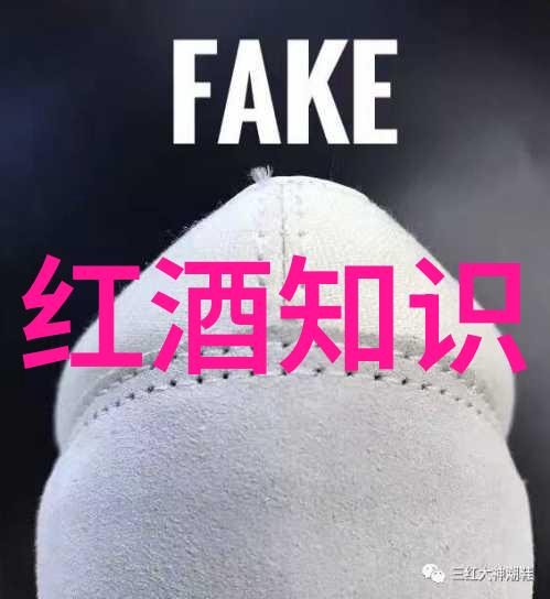 潮水舞动日本RAPPER一姐的抖音盛宴