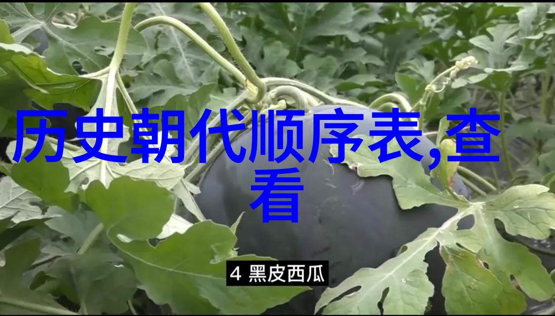 金黄色脉动探索玉米品种的多彩世界