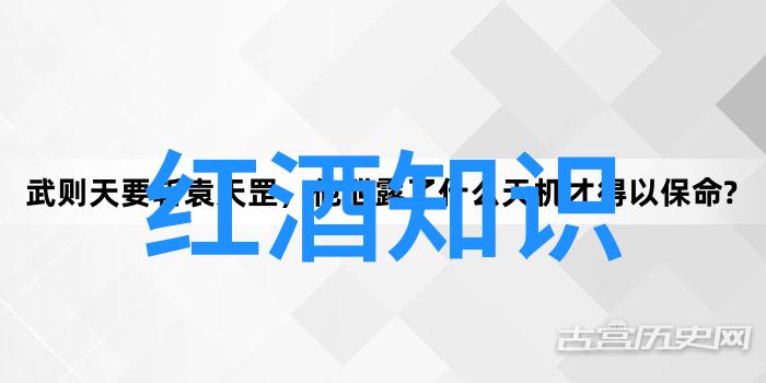 市场动态下的投资选择深入剖析当前可供选择的指数基金种类