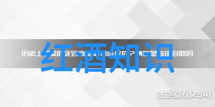 一边做饭一边躁狂暴躁播放视频我是如何在厨房里失控地追剧的