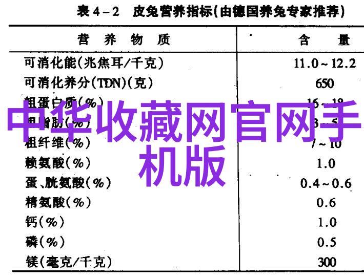 视频珍藏镜头里的故事与记忆