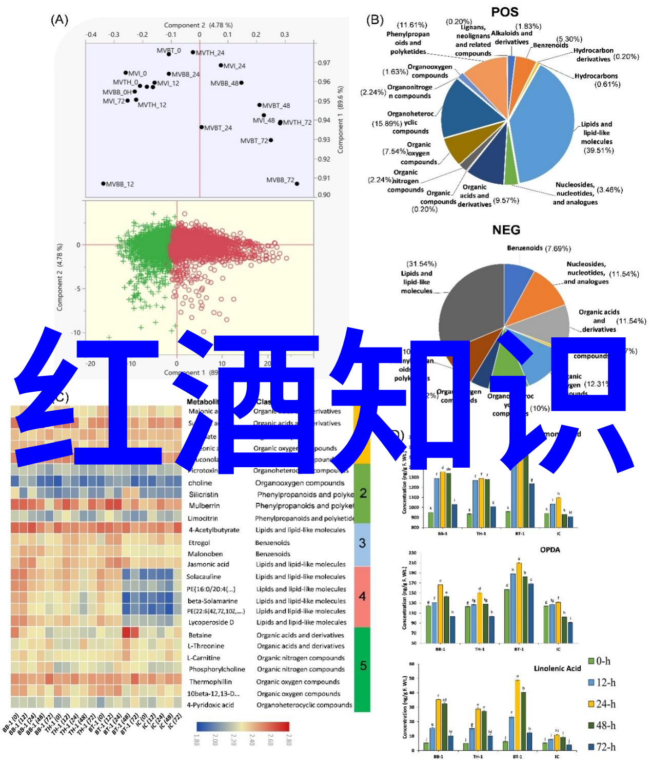 回望过往时间的痕迹与记忆的纠缠