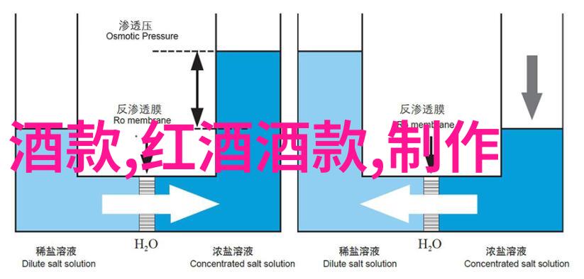 奇趣挑战从笑声到思索探索知识的反差之旅