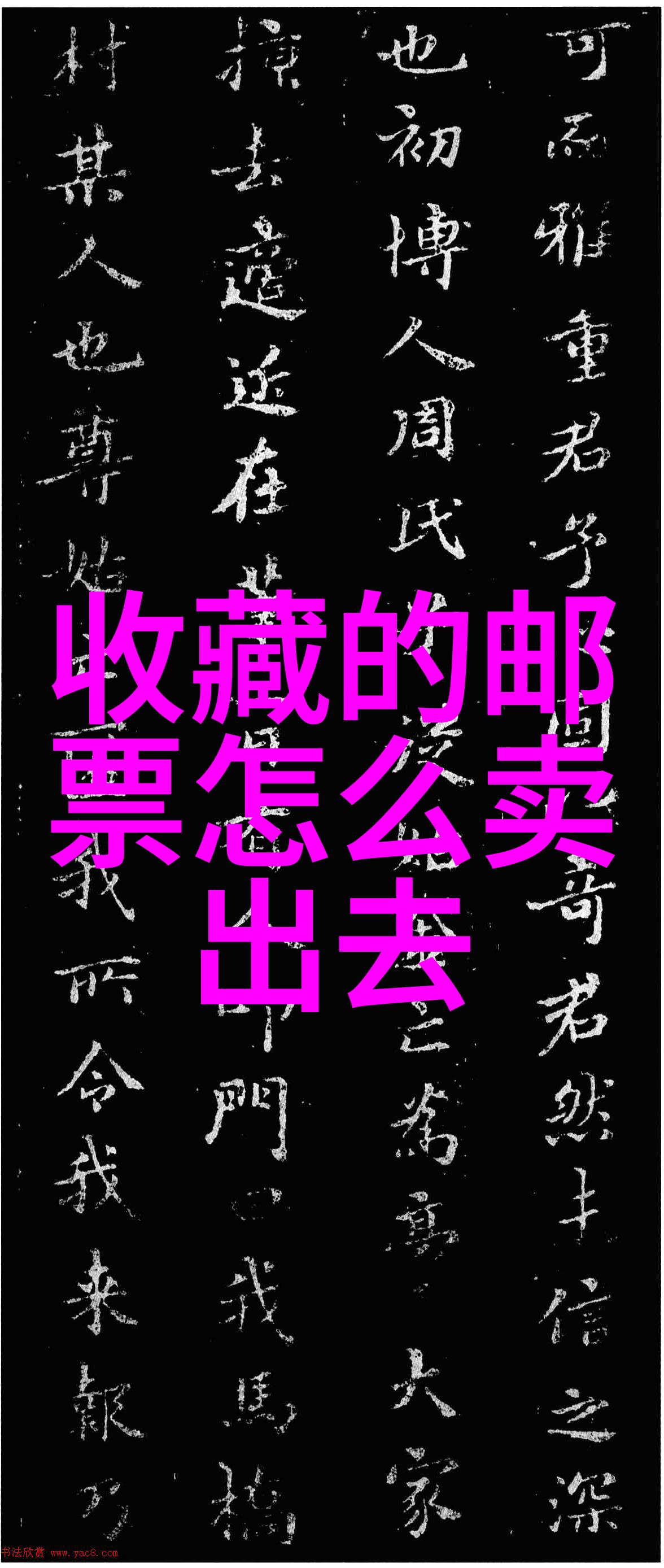 超级高产玉米揭秘6000斤亩的种植秘诀