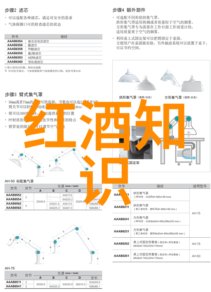 收藏家小说-秘密图书馆揭开收藏家的文学传说