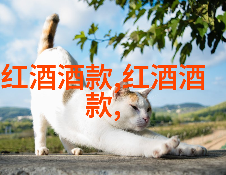 猫咪品种花样猫的魅力与特点