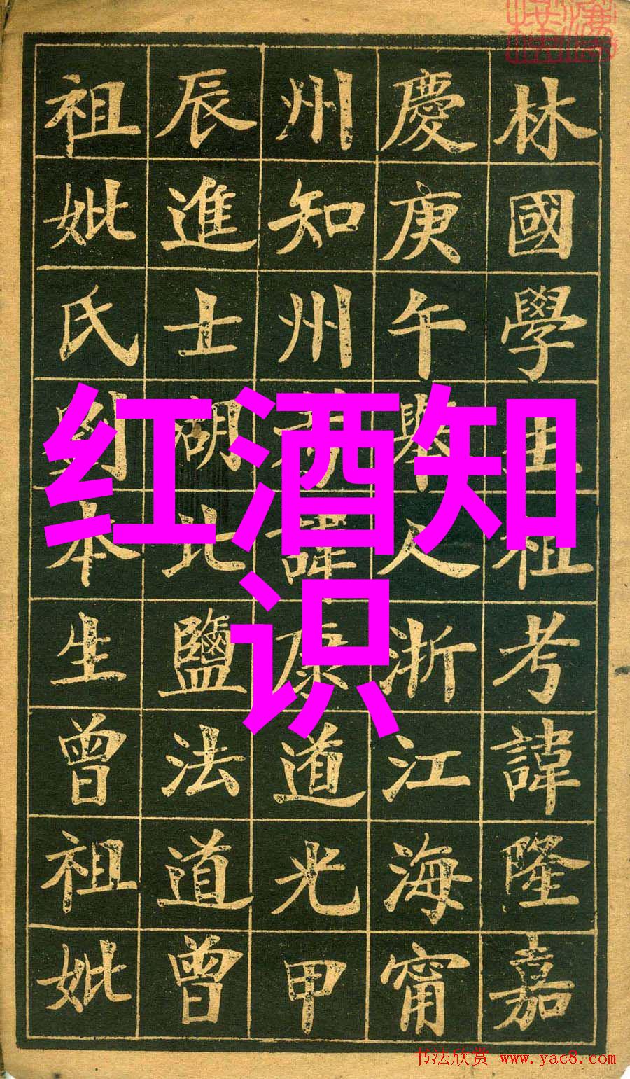 为什么法国葡萄酒庄闻名于世我为何爱上那些传奇的法国葡萄园