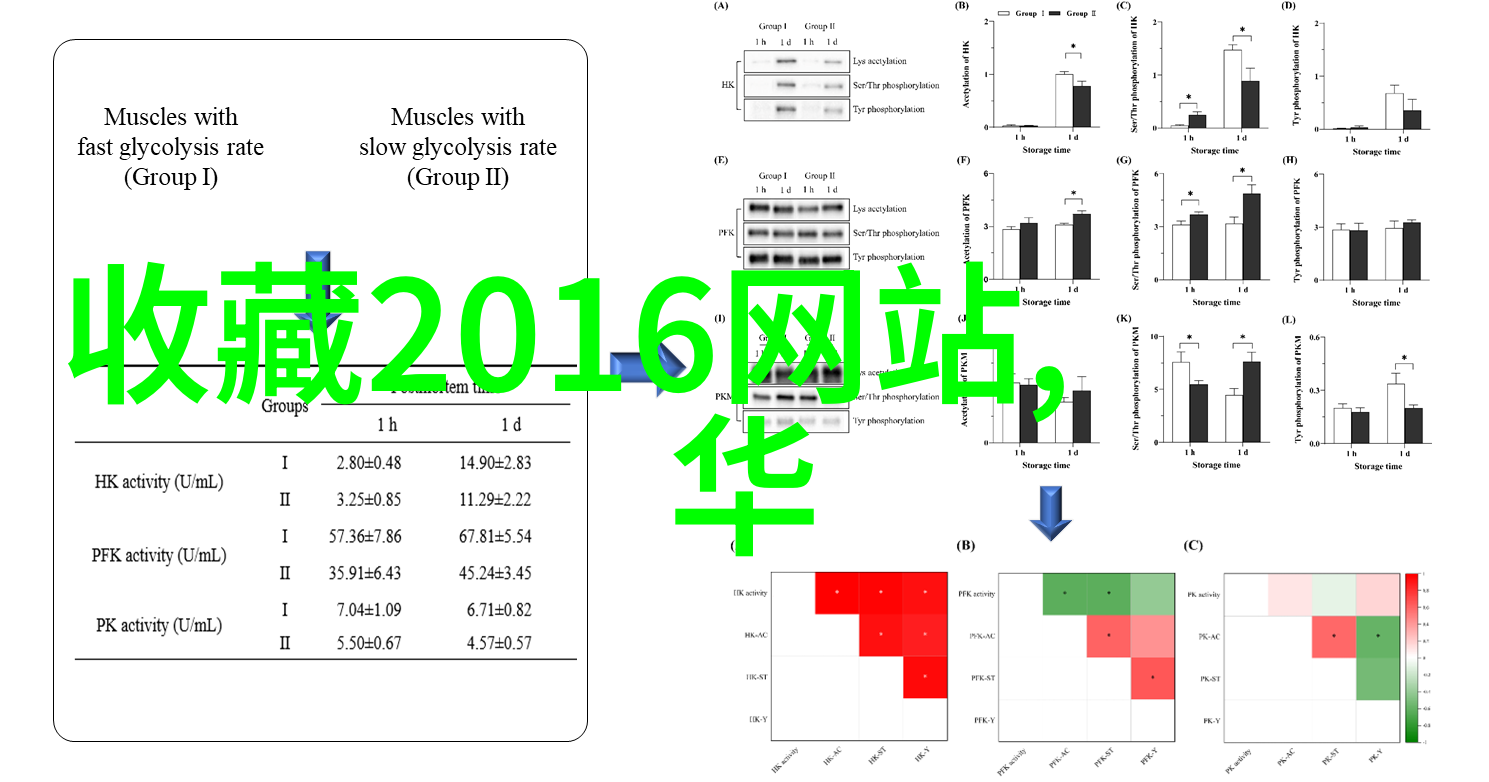 揭秘中国历史名人榜前100名智慧与传奇的百年光辉