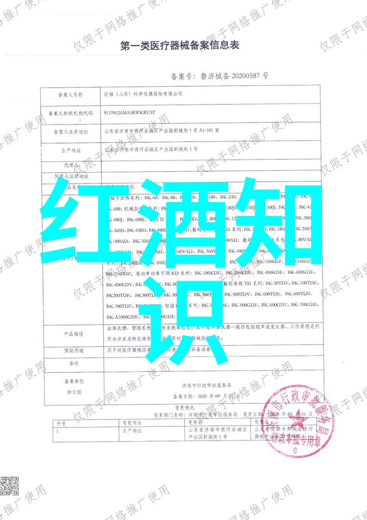 从圣丽塔集团逆势增长探索女性管理者才华与情怀素描真人照片中的物品故事