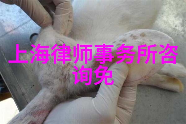 猫品种大全及易发病 - 猫咪宝典揭秘各类猫品种的健康状况与常见疾病