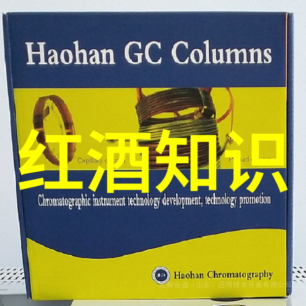 儿童和老年人在抗击疫情中的角色他们需要怎样的支持与保护