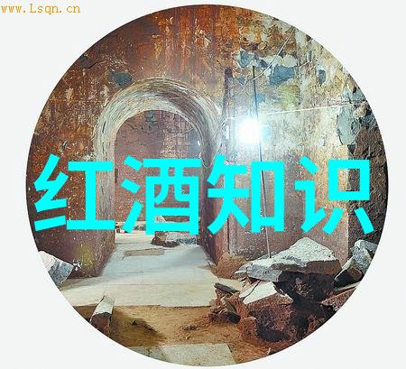 中国古代红酒的起源与发展史探究