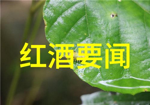 探秘玫瑰花园揭秘百花斑斓的品种之美